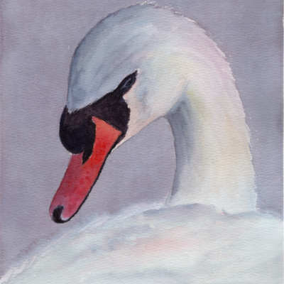 Elegant Swan Watercolor Painting – Original Wildlife Art, Soft Nature Wall Decor